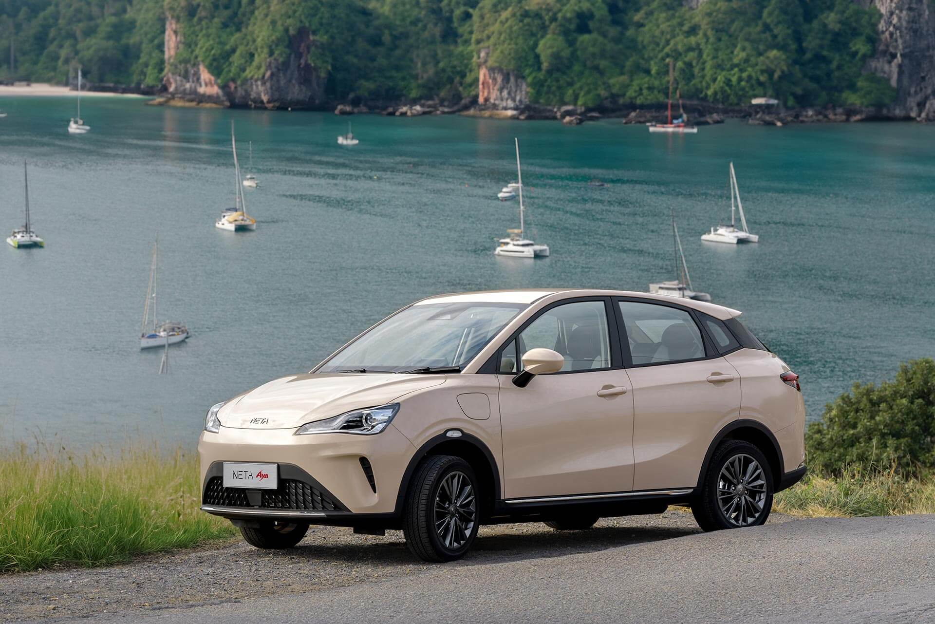 Descripción de imagen