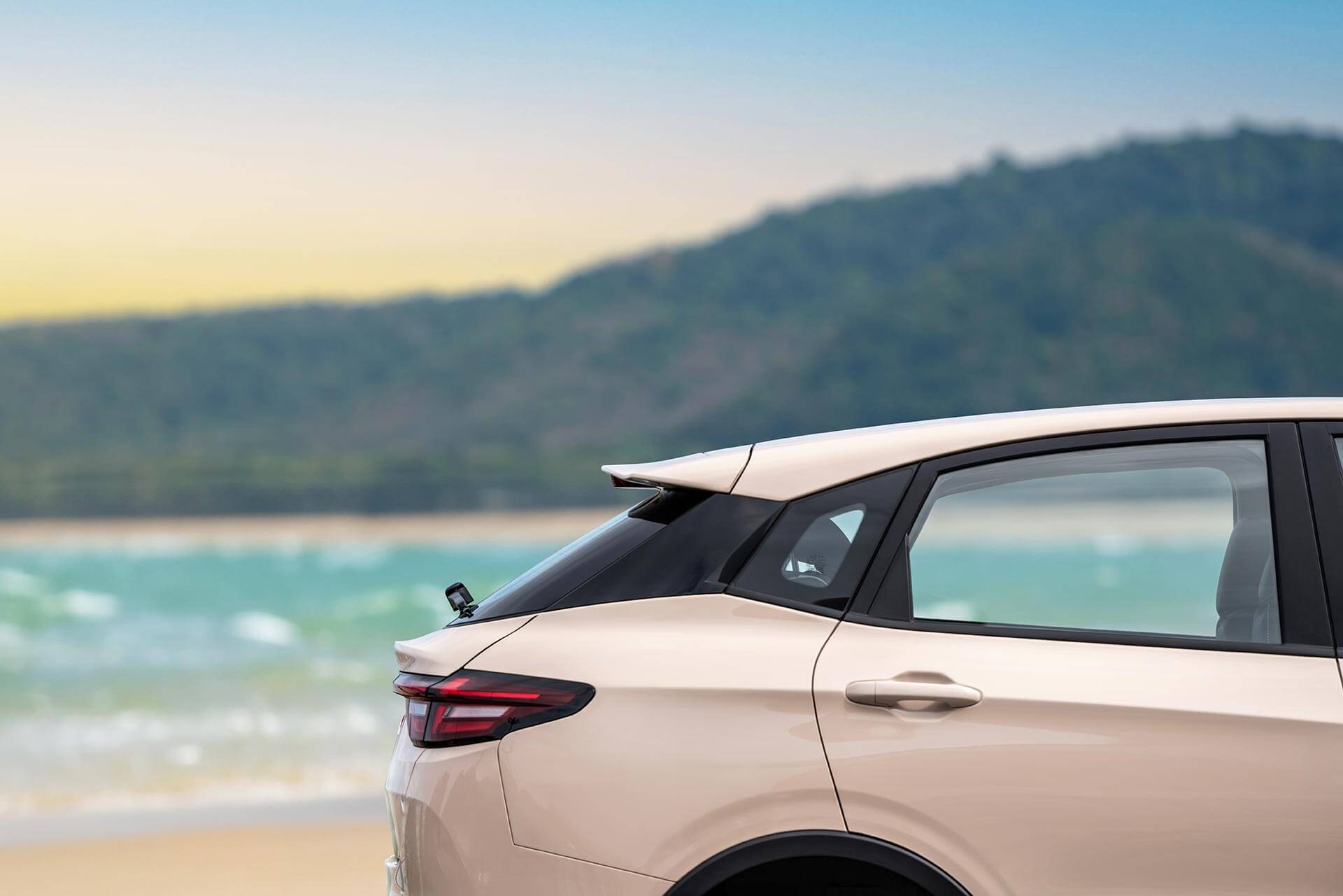 Descripción de imagen