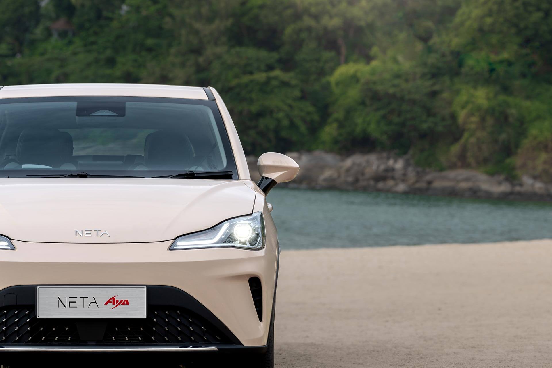 Descripción de imagen