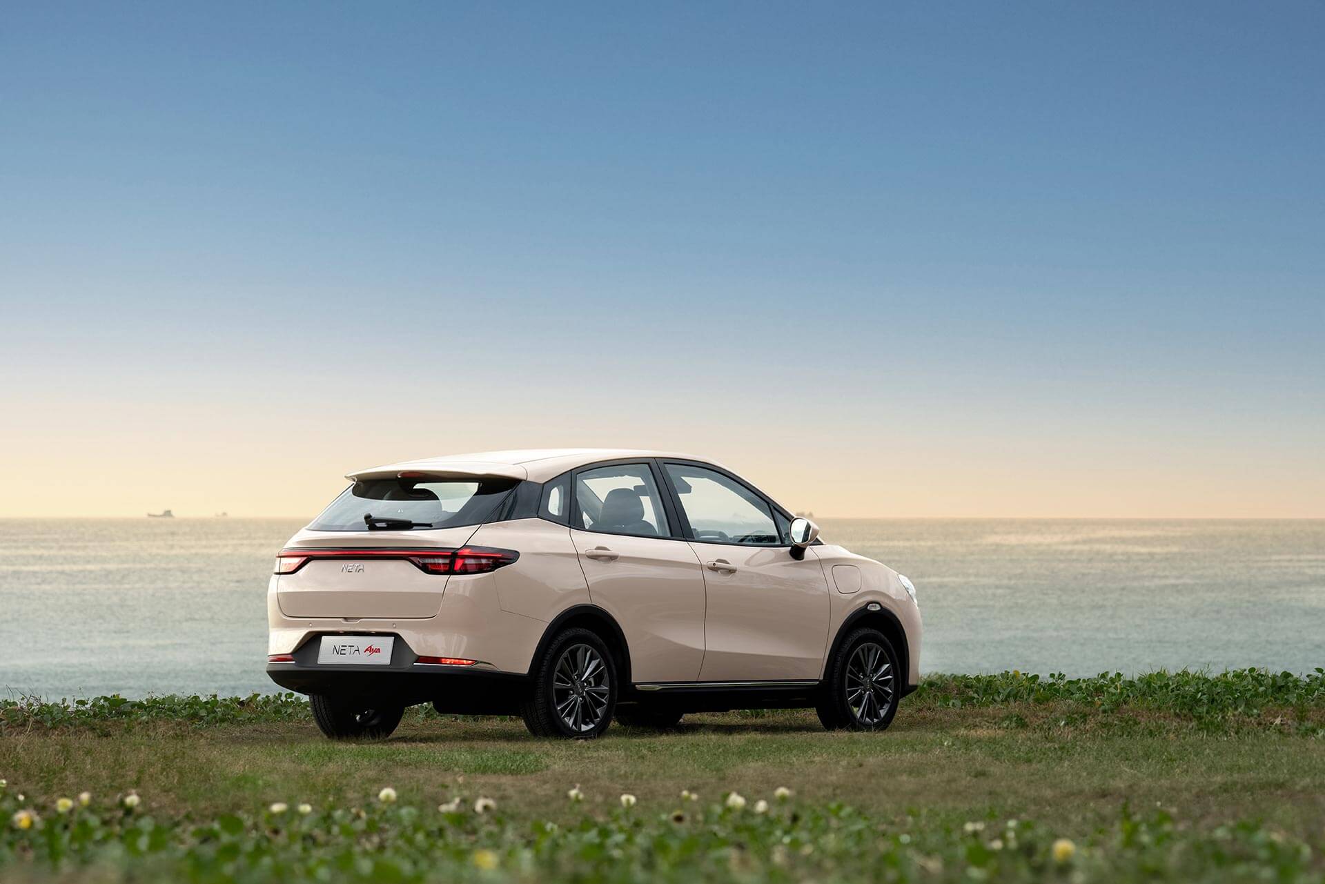 Descripción de imagen