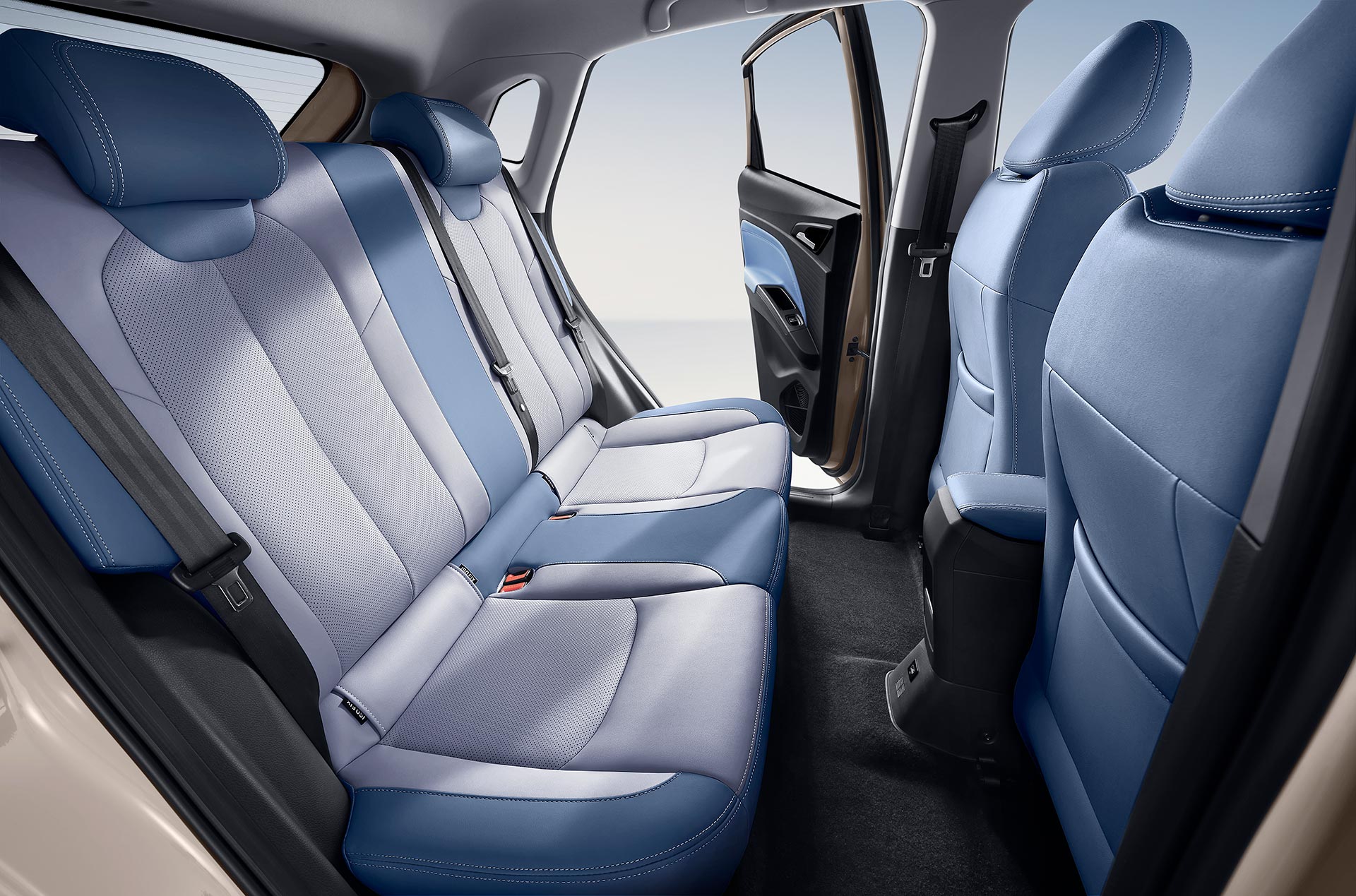 Descripción de imagen