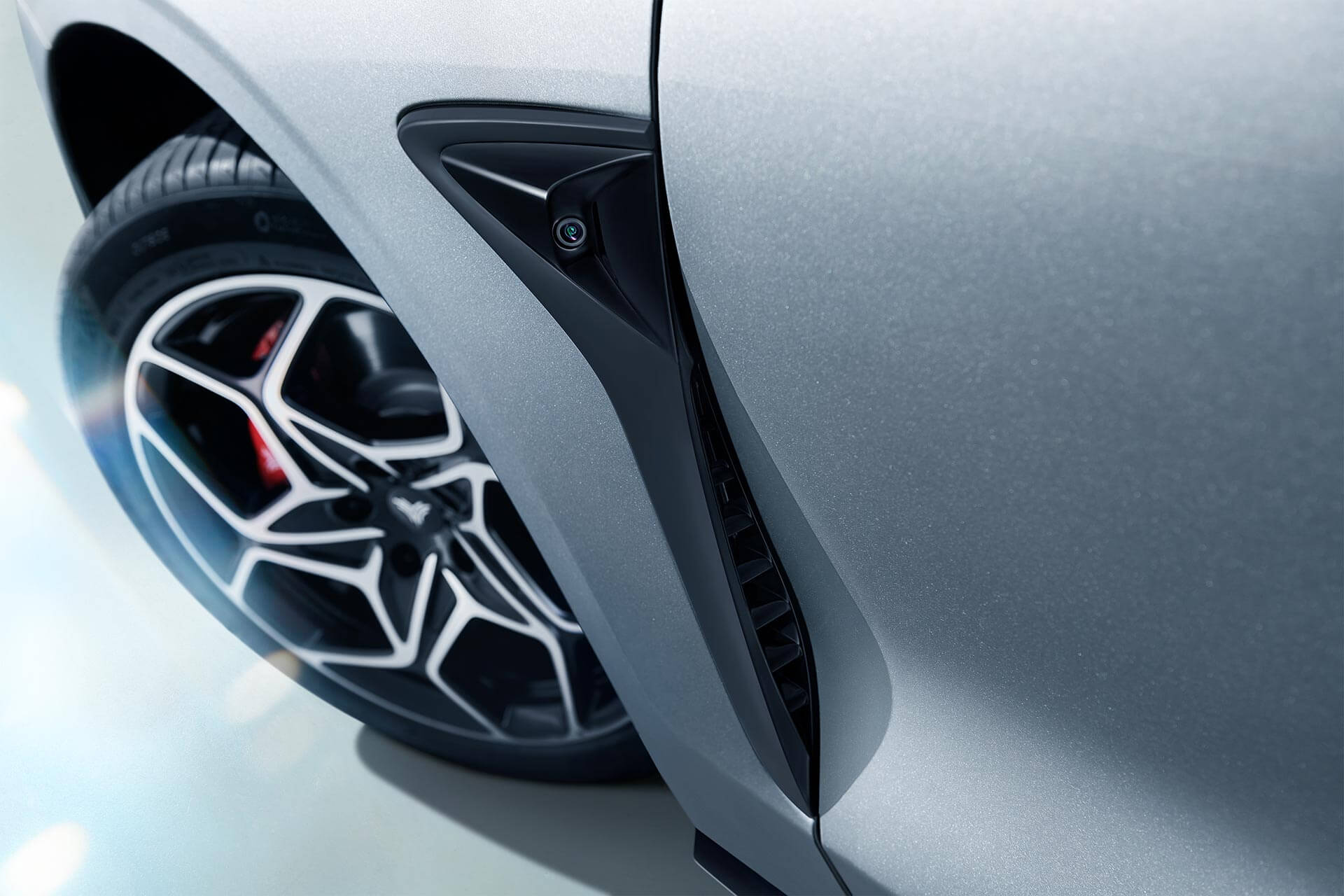 Descripción de imagen