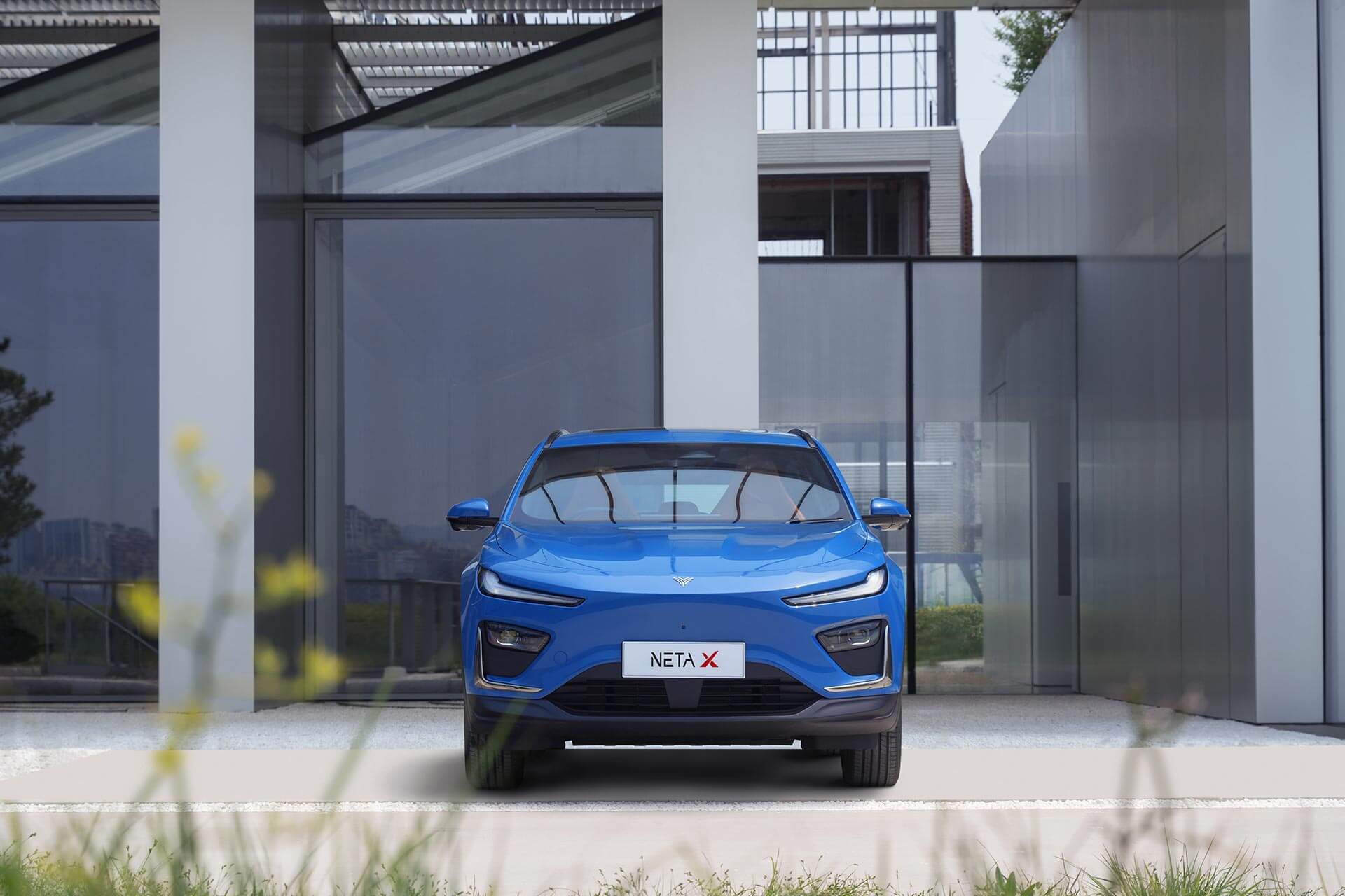 Descripción de imagen